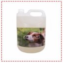 체리쉬펫 이미지