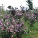 KT안산지사 이미지