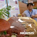 영지축산 이미지