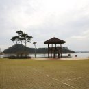 당나루물꽃승마마을영농조합법인 이미지