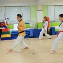 금강태권도장 | 서울 성인태권도 — 월 19만원 무제한, 금강태권도 8월 단증취득·다이어트·기초체력 한번에 해결