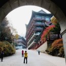 소선암자연휴양림 이미지