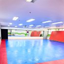 효단태권도장 이미지