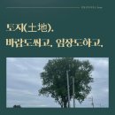 [임장후기] 부동산 중개업의 꽃, 토지(土地)