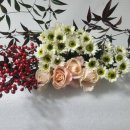 전혜숙농장 이미지