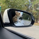 소근진성펜션 이미지