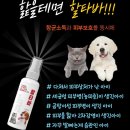 장천드림약국 이미지