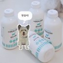 숲속산양목장 | 산양원유100% 수암숲속목장 강아지 산양유 영양 간식 추천