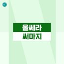 부천리더스피부과의원 | 부천피부과 트랜드 리더스 울쎄라 써마지 효력 차이는?