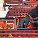 만봉농장 이미지