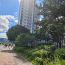 신화공인중개사무소 이미지