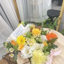 사파동428 이미지