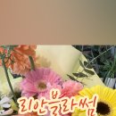 리안블라썸 이미지