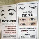 오늘도빛나는눈썹
