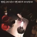 살랑 그루밍 이미지