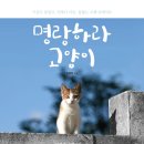 우산쓴고양이 이미지