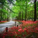 금산목장 이미지