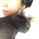 너와나,묘연 이미지