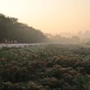 시흥 갯골생태공원 이미지