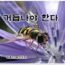 ☆중생의 씻음 (딛 3:3-5) 이미지