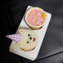 댕스윗 | [강아지케이크 후기] 수제 강아지 생일 컵케이크 댕스윗 내돈내산 후기!