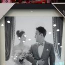 옥타곤 멀티짐 이미지