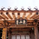 동산정 티스토리