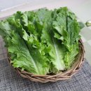 자연대로4 이미지