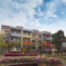 예술이네 이미지