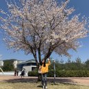 유니스트길R | 다이어트 포기한듯한 폭식의 일주일 / 정신없이 지나갔다