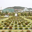 재한유엔기념공원 (UN기념공원) 티스토리