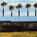 느긋하귀 이미지