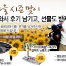 에이스회원권 이미지