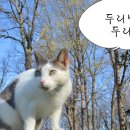 꽃비민박 이미지