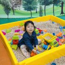 꽃뿐이네 이미지