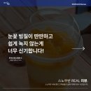 루이네망고컵빙수
