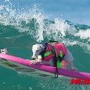 (주)더균형 이미지