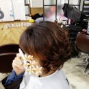 레지나헤어샵 - 목포시 | 레지나헤어샵