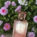 다이아린 | 여자향수추천 남친에게 받고 싶은 다이아린 트웬티케이 향수