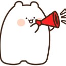 라라브레드고양