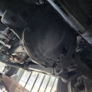 정카센타 이미지