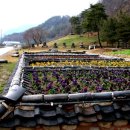 중화마을소공원 이미지