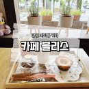 사파동113 이미지