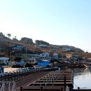 계도항 Daum카페