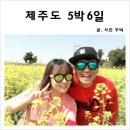 코시롱화덕피자 | [제주도] 5박6일 여행코스 일정 :D