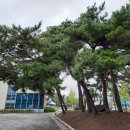 다목적체육관 화장실 이미지