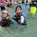 늘푸른태권스쿨 | 태권도 양지동태권도 삼성태권스쿨 &#34;뜨거운 여름, 짜릿한 하루! 삼성태권스쿨과 함께한 원마운트 워터...