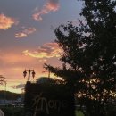 강동초교 이미지