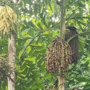 온수역 6번출구 이미지