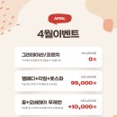 네일도꽃길 - 문경시 모전로 83 | 네일도꽃길